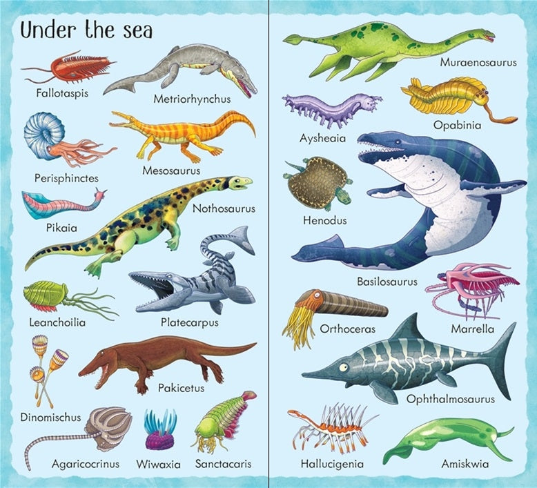 Usborne 199... Series Board Books (4 Titles) - Pupsik Singapore