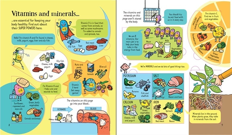 Usborne Lift-the-Flap Look Inside Book (10 Types) - Pupsik Singapore