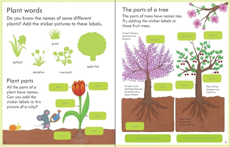 Usborne My First Book About How Things Grow