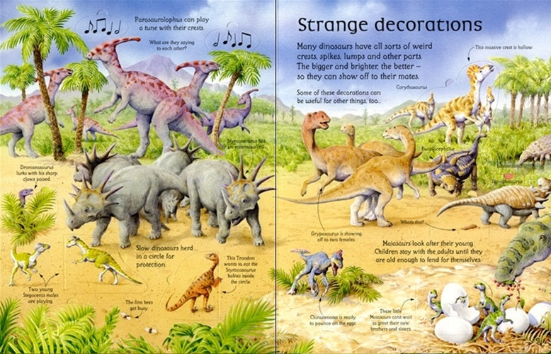 Usborne Lift-The-Flap See Inside Book (9 Titles) - Pupsik Singapore