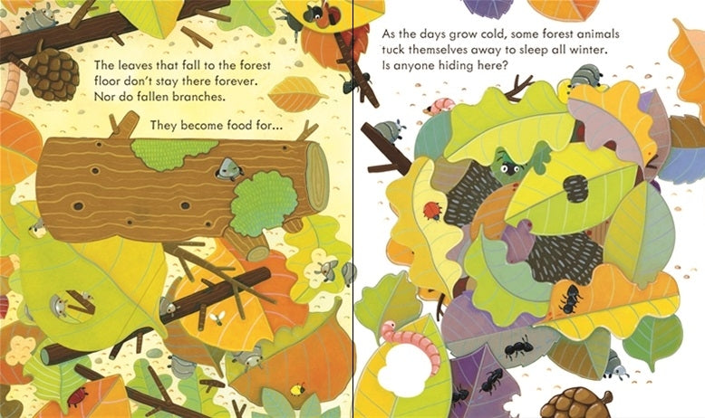 Usborne Peep Inside Learning Book (4 Titles) - Pupsik Singapore