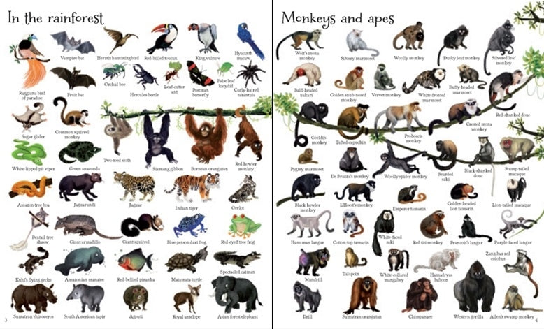 Usborne 1000 Animals Book