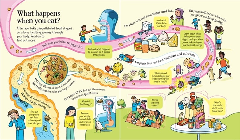 Usborne Lift-the-Flap Look Inside Book (10 Types) - Pupsik Singapore