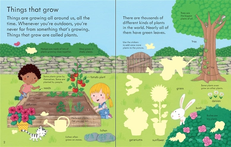 Usborne My First Book About How Things Grow