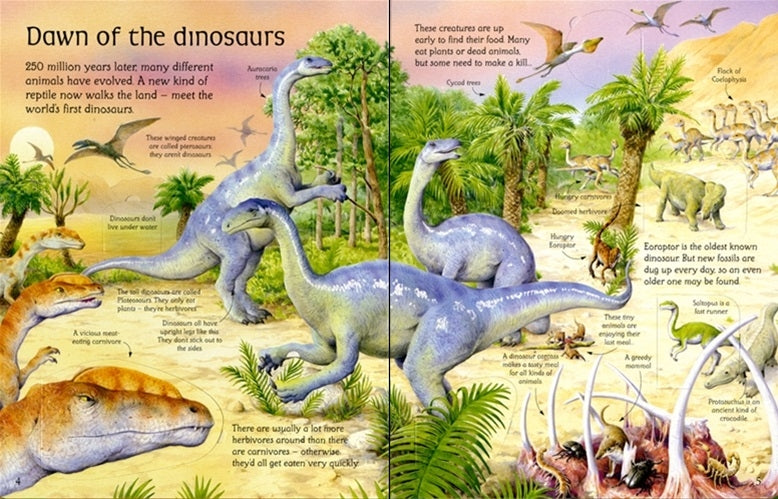 Usborne Lift-The-Flap See Inside Book (9 Titles) - Pupsik Singapore