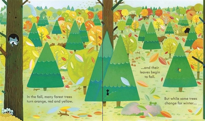 Usborne Peep Inside Learning Book (4 Titles) - Pupsik Singapore
