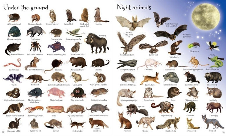 Usborne 1000 Animals Book