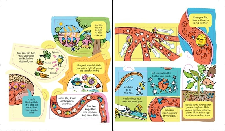 Usborne Lift-the-Flap Look Inside Book (10 Types) - Pupsik Singapore