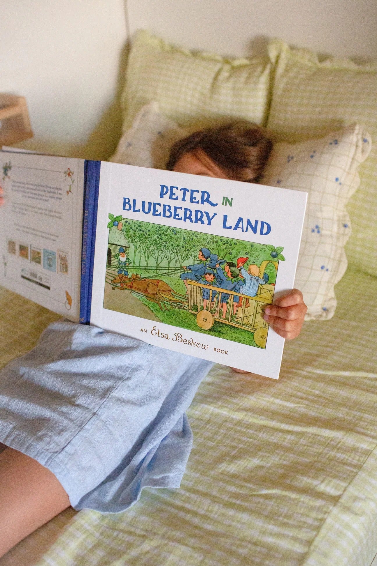 Soft Spot Soft Single Sheet (3 Colors)