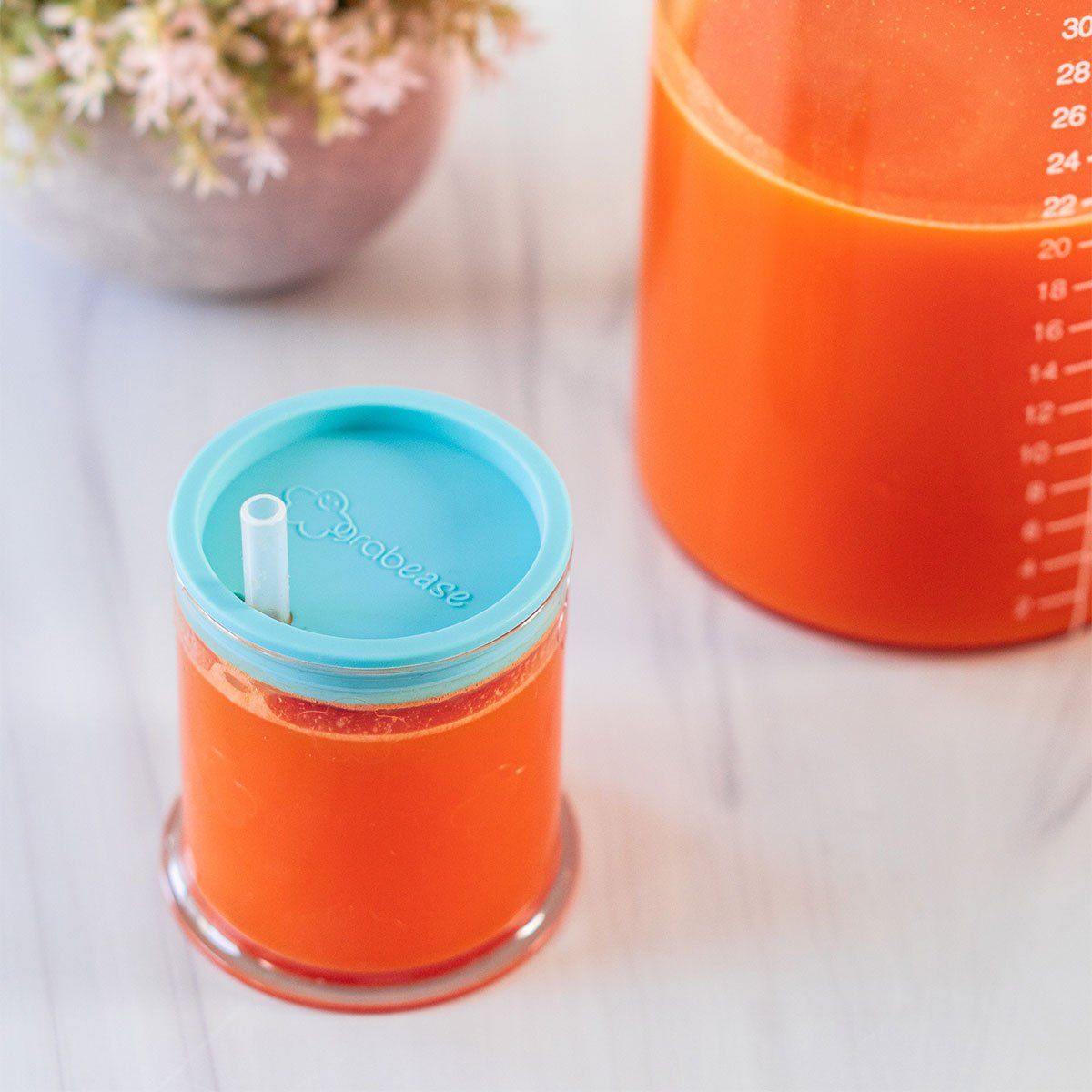 Grabease Spoutless Sippy & Straw Convertible Cup Set (3 Colours) - Pupsik Singapore