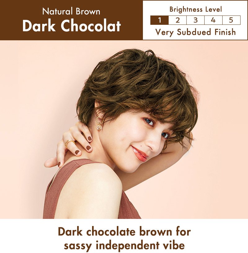 Liese Creamy Bubble Colour Hair Dye - New Packaging (23 Colors) - Pupsik Singapore