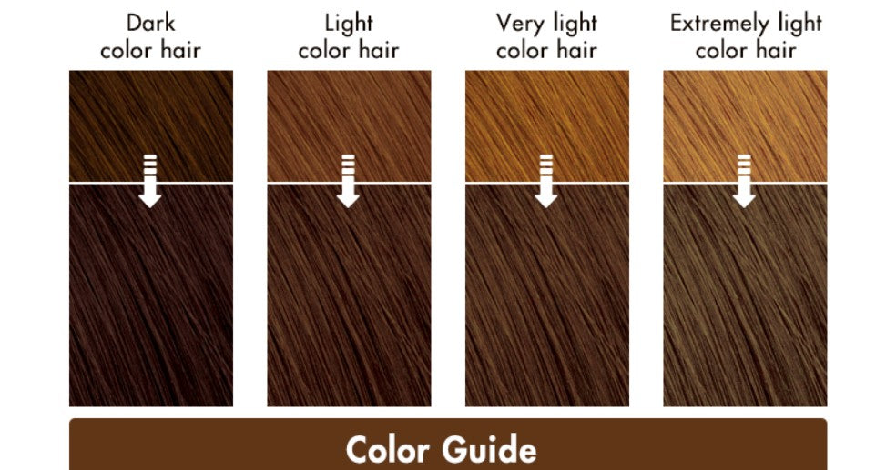 Liese Creamy Bubble Colour Hair Dye - New Packaging (23 Colors) - Pupsik Singapore