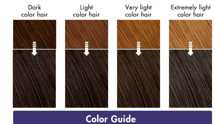 Liese Creamy Bubble Colour Hair Dye - New Packaging (23 Colors) - Pupsik Singapore
