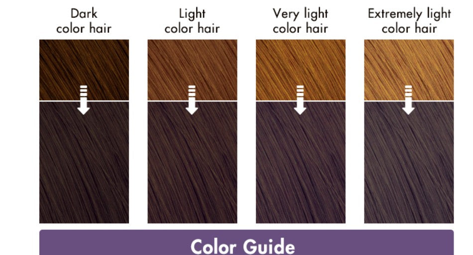 Liese Creamy Bubble Colour Hair Dye - New Packaging (23 Colors) - Pupsik Singapore