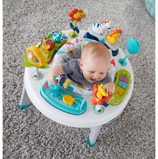 Fisher Price 3-in-1 Sit-to-Stand Activity Center - Fashion
