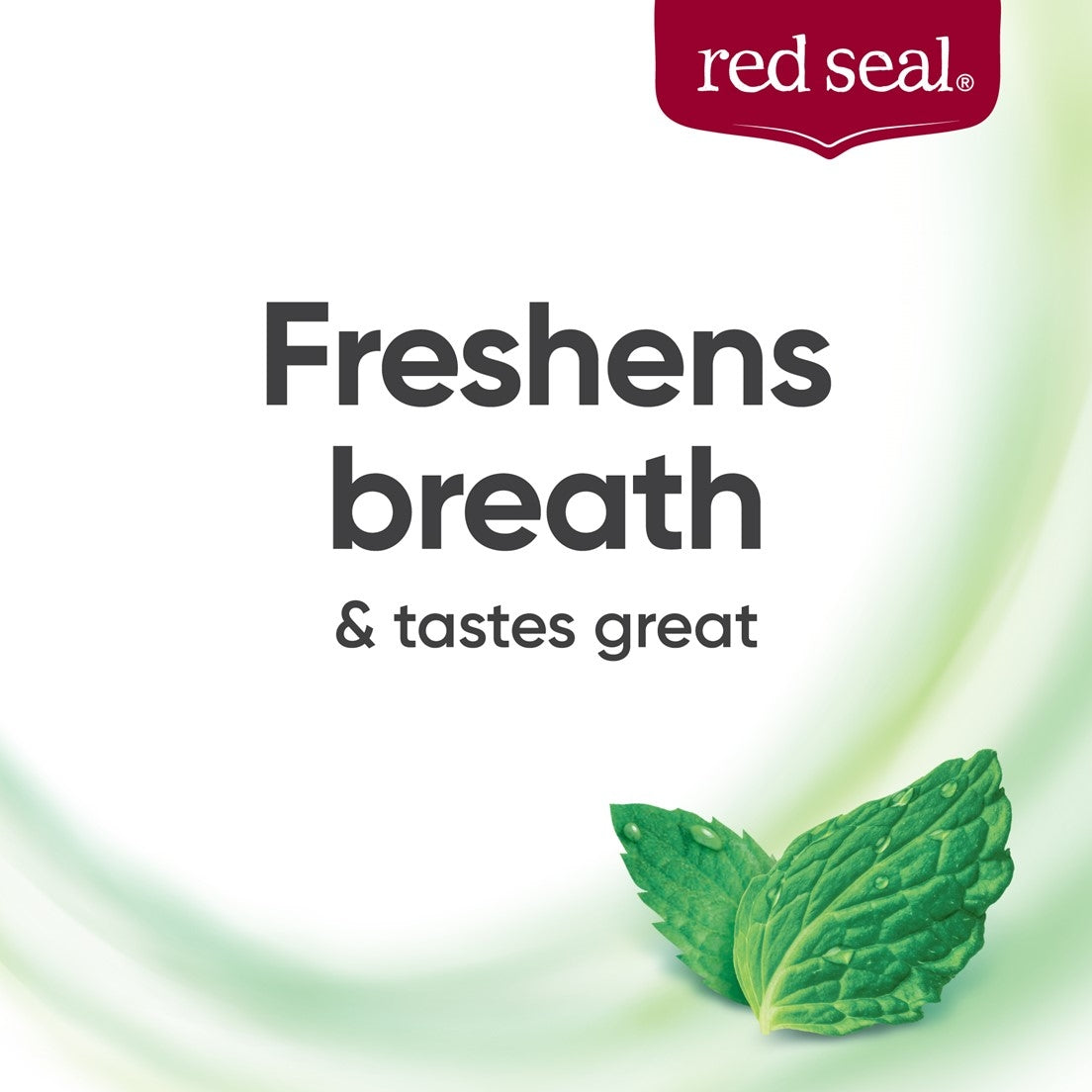 Red Seal Complete Care Fluoride Mild Mint Natural Toothpaste, 100g (Exp 06/27)