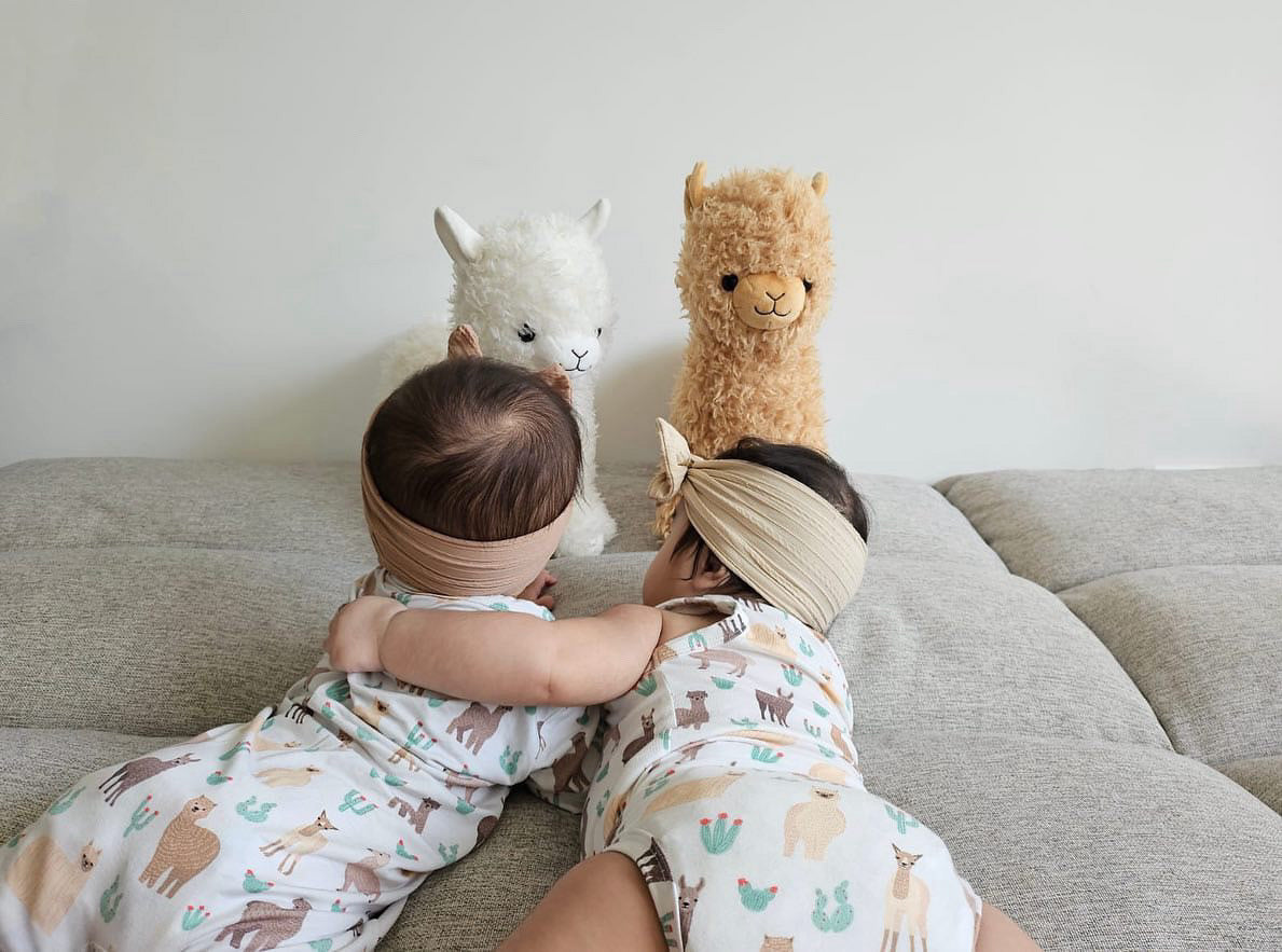 A, Apple Pie Bamboo Baby Zip Short Sleeve Romper - Llamas & Cacti (5 Sizes)