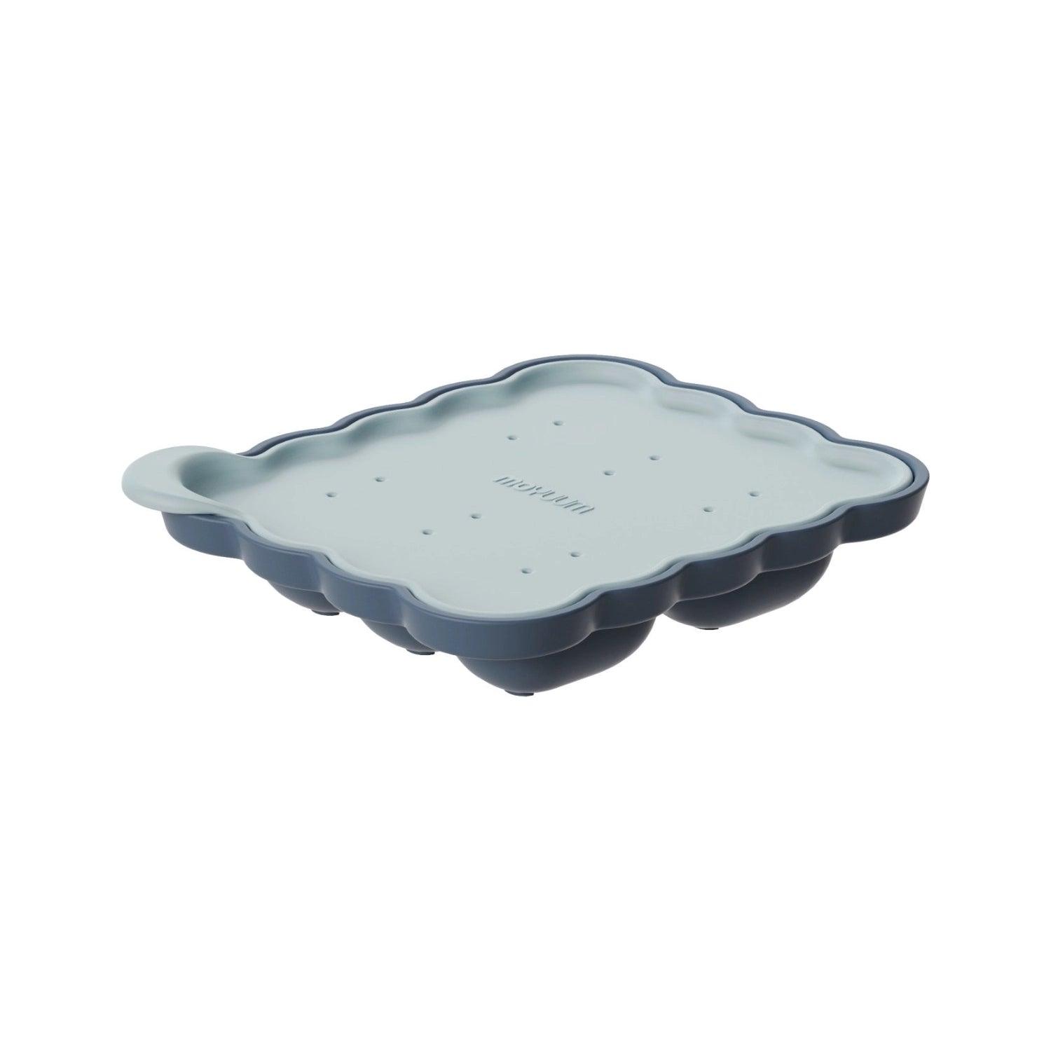 Moyuum Easy Pop Fruit Feeder Cube Ice Tray - Pupsik Singapore