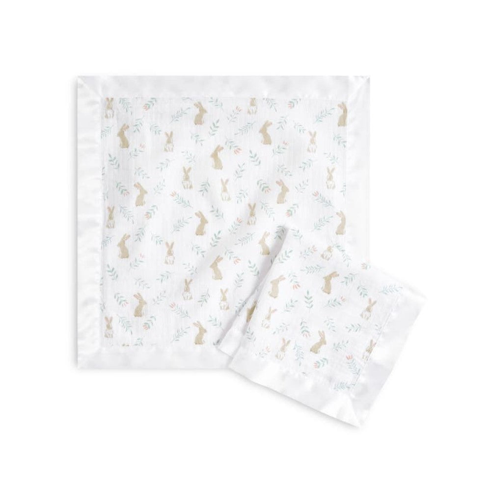 Aden Anais Essentials Muslin Security Blanket (2pk) - 2 Designs