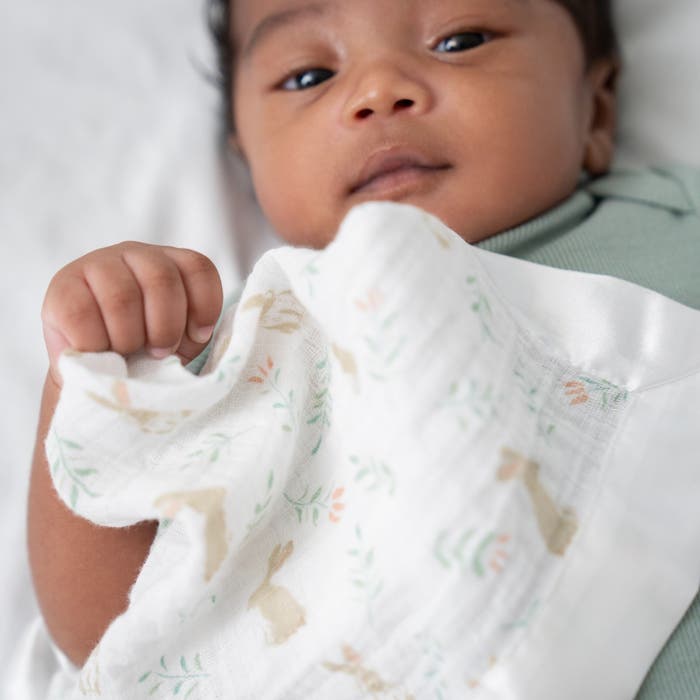 Aden Anais Essentials Muslin Security Blanket (2pk) - 2 Designs - Pupsik Singapore