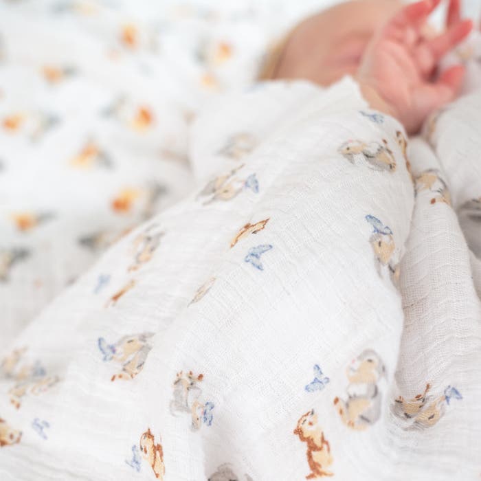 Aden Anais Essentials Muslin Cotton Swaddle (44 x 44 in), 4pk (31 Designs) - Pupsik Singapore