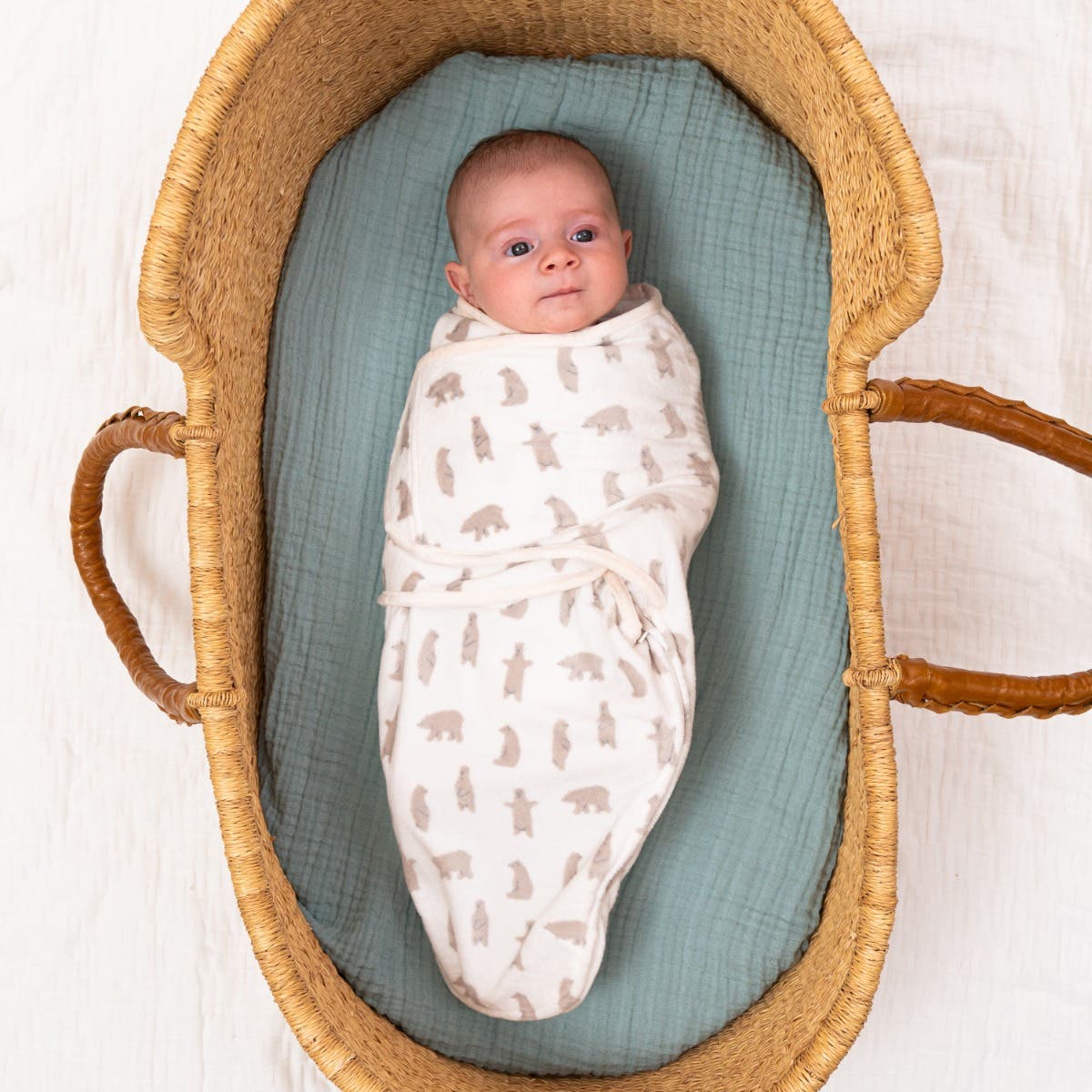 Aden Anais Essentials Minky Swaddle Wrap  (3pk) , 0-3 months (4 Designs) - Pupsik Singapore
