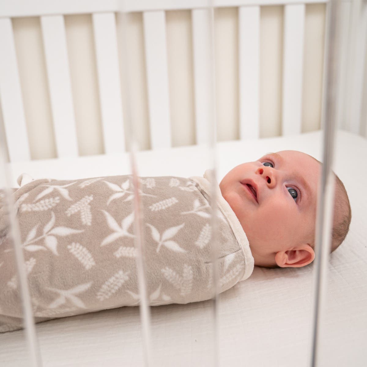 Aden Anais Essentials Minky Swaddle Wrap  (3pk) , 0-3 months (4 Designs) - Pupsik Singapore
