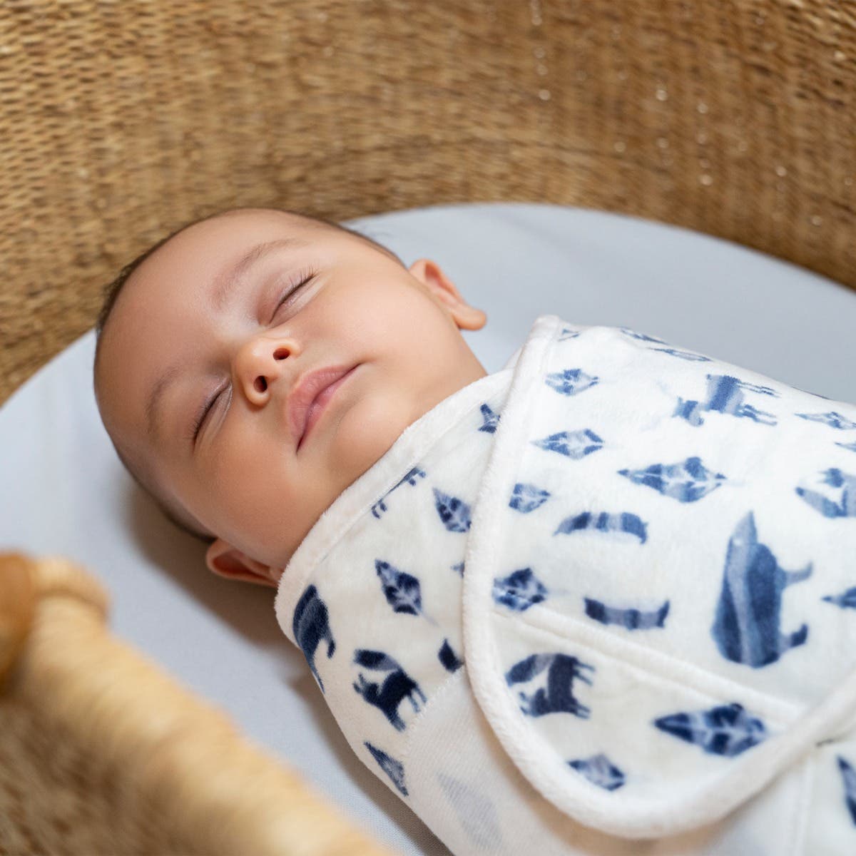 Aden Anais Essentials Minky Swaddle Wrap  (3pk) , 0-3 months (4 Designs) - Pupsik Singapore