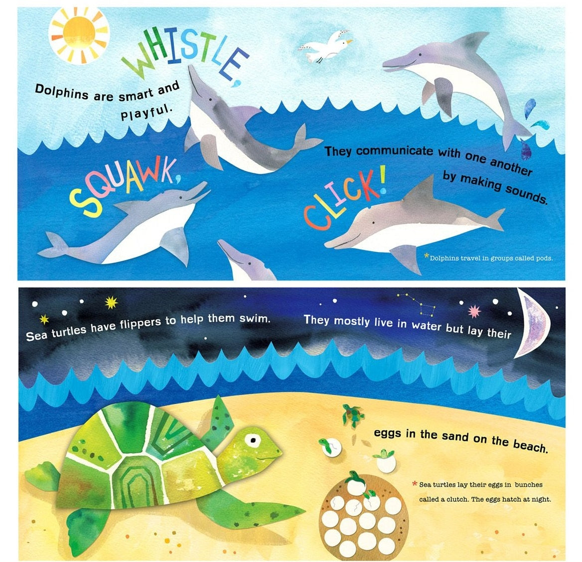 Hello, World! Ocean Life Board Book