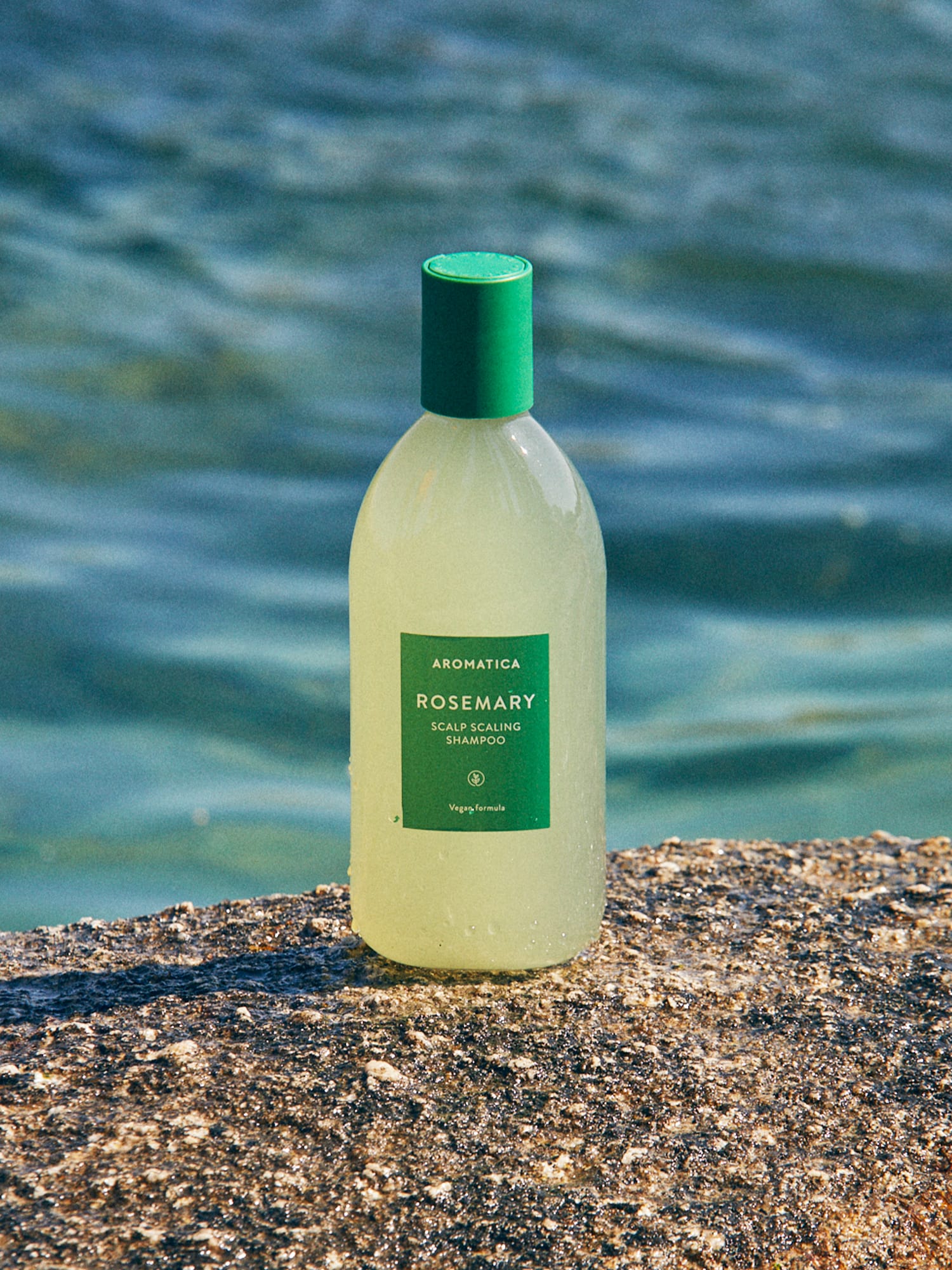 Aromatica Rosemary Scalp Scaling Shampoo (2 Sizes)