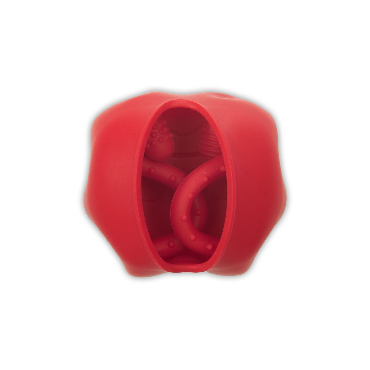 Hashtag Kidz ChewBuddy Teether - Red Lady Bird