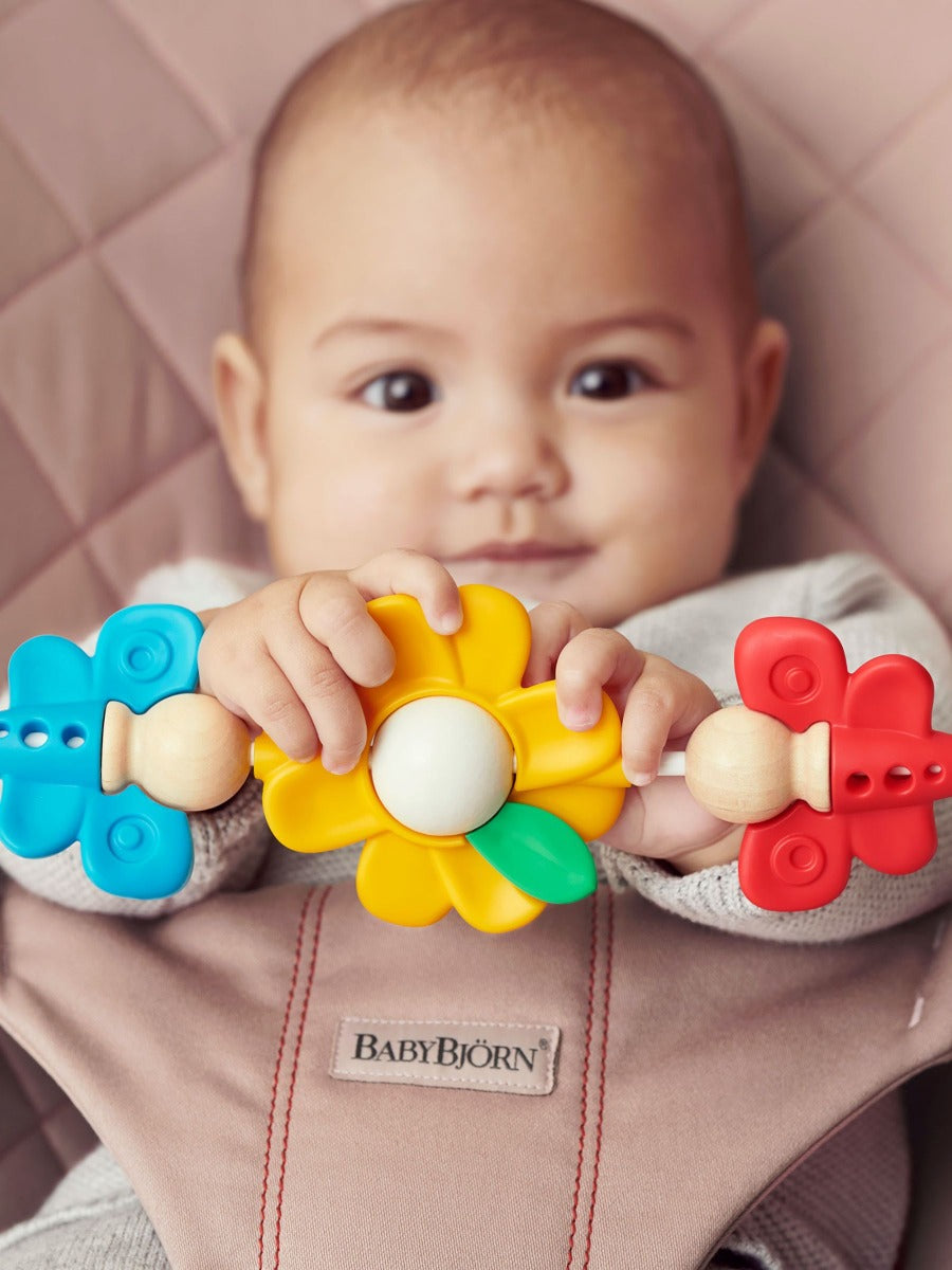 Baby Bjorn Bouncer Toy - Flying Friends
