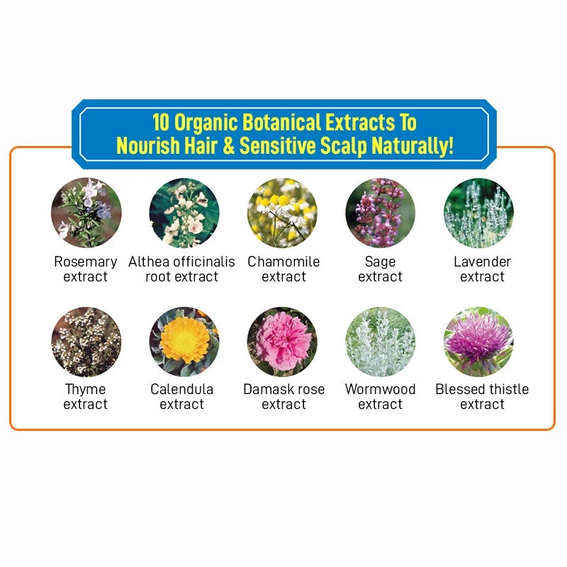 Moist Diane Botanical Refresh & Moist Shampoo (480ml)