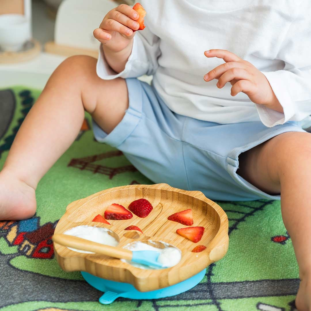 Eco Rascals Owl Tableware Gift Set (6 Colors) - Pupsik Singapore