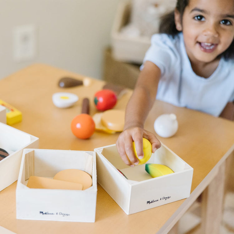 Melissa & Doug Food Groups