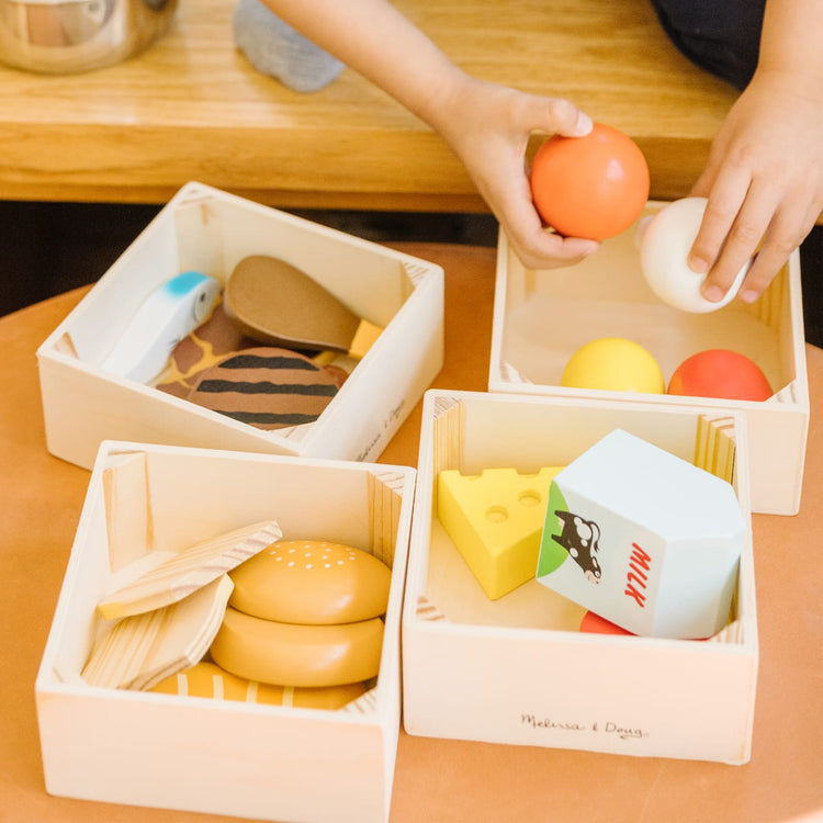 Melissa & Doug Food Groups