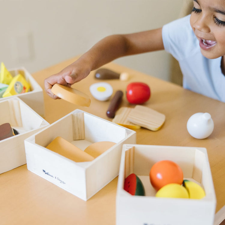 Melissa & Doug Food Groups