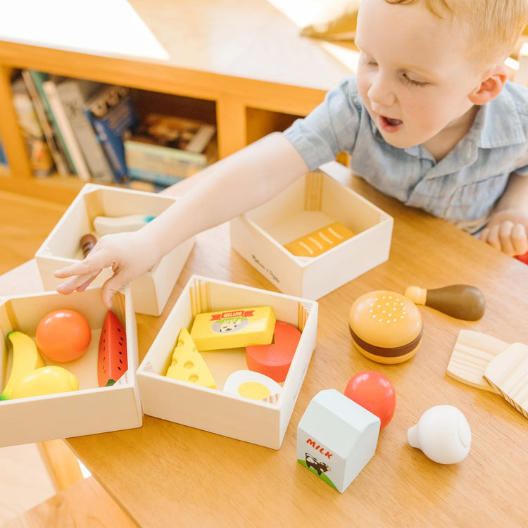 Melissa & Doug Food Groups