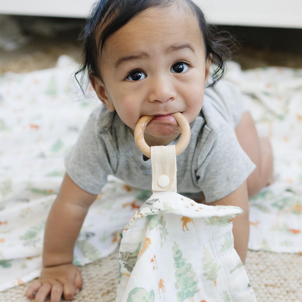 Bebe Au Lait Classic Muslin Teether Blanket (3 Designs) - Pupsik Singapore