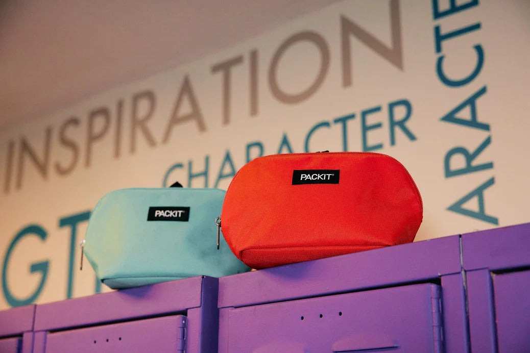 PackIt Freezable Snack Bag (6 Designs)