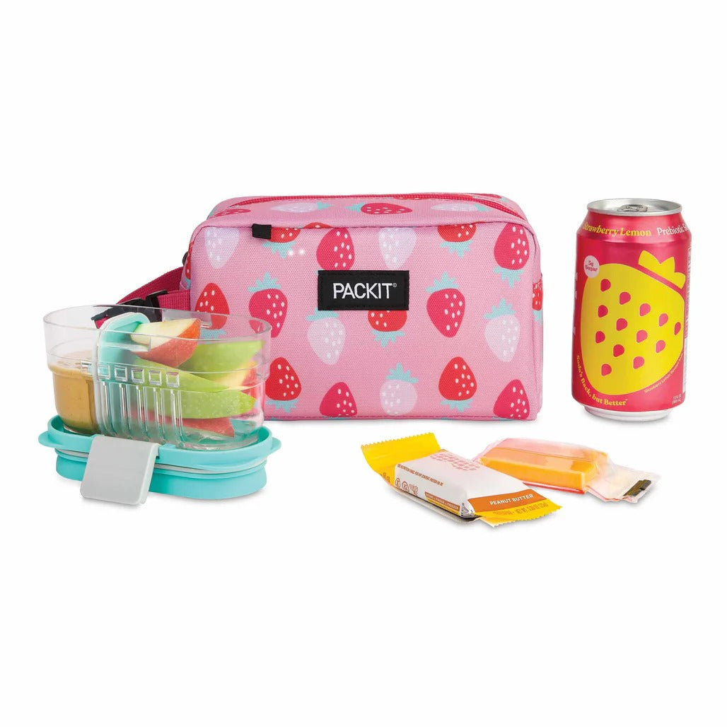 PackIt Freezable Snack Box (15 Designs)