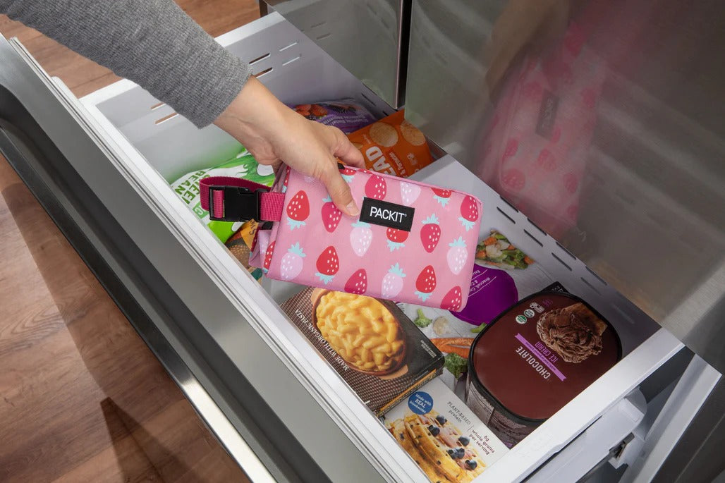 PackIt Freezable Snack Box (15 Designs)