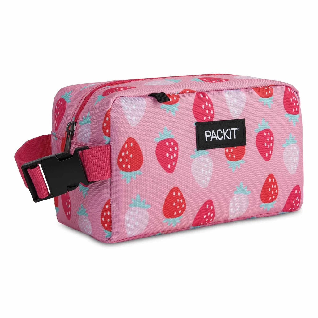 PackIt Freezable Snack Box (15 Designs)