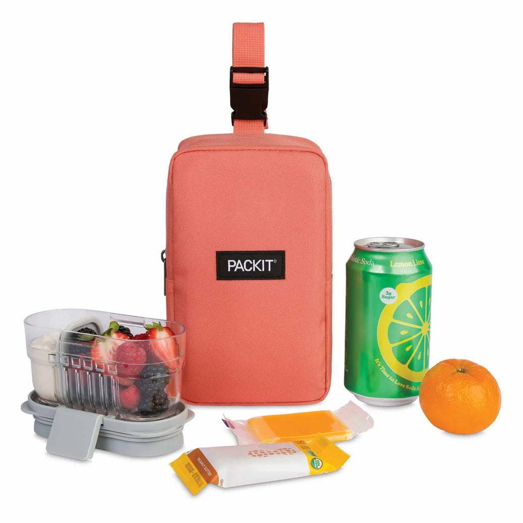 PackIt Freezable Upright Snack Box (3 Colors)