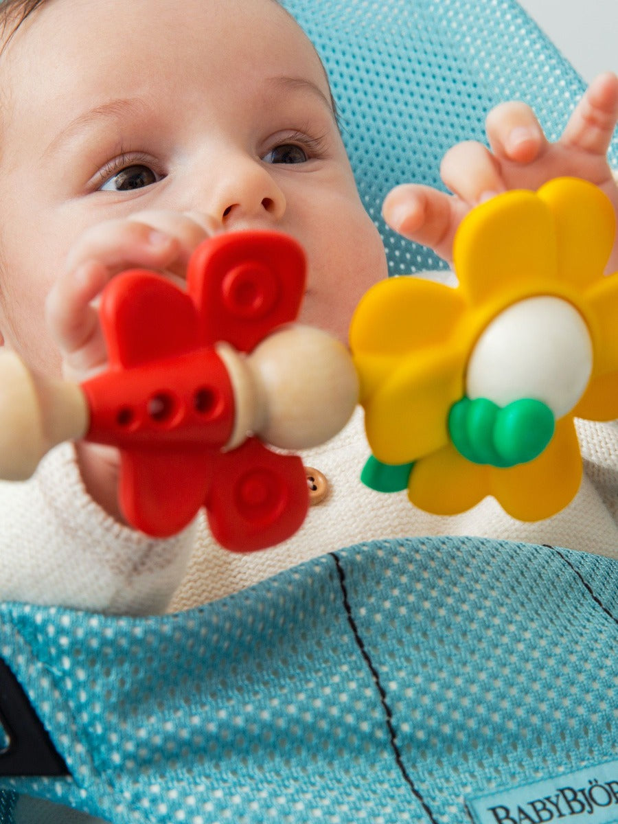 Baby Bjorn Bouncer Toy - Flying Friends