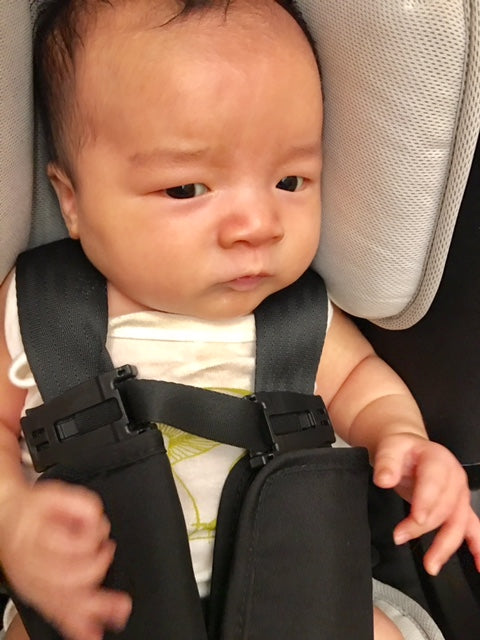 Strap Stop Baby Car Seat/Stroller Strap (4 Colours) - Pupsik Singapore