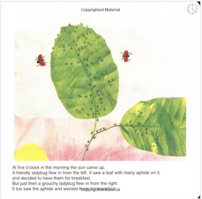 The Grouchy Ladybug Board Book