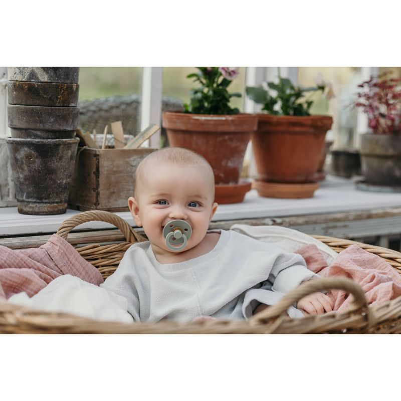 Bibs Round Colour Pacifier (2pk) - Ivory Sage (2 Sizes) - Made in Denmark/EU