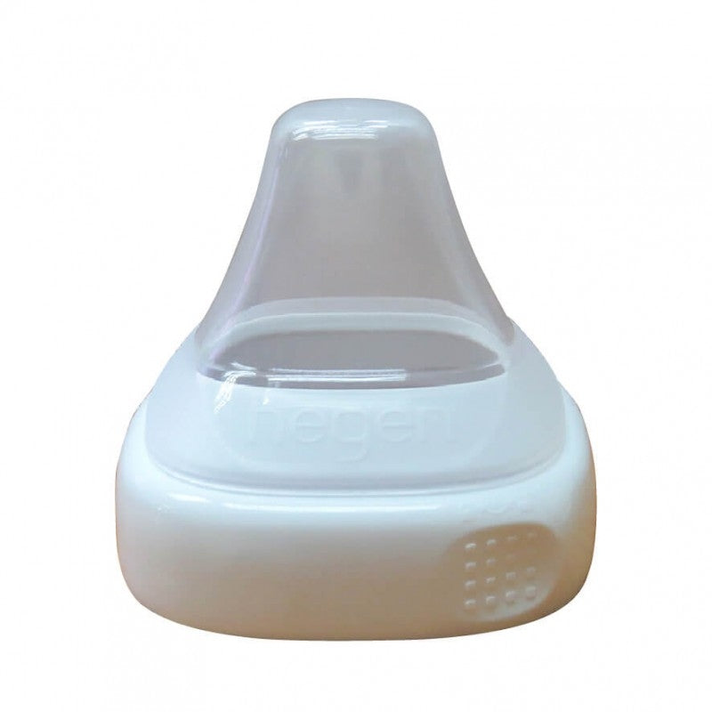 Hegen PCTO™ Collar and Transparent Cover (5 Colours) - Pupsik Singapore