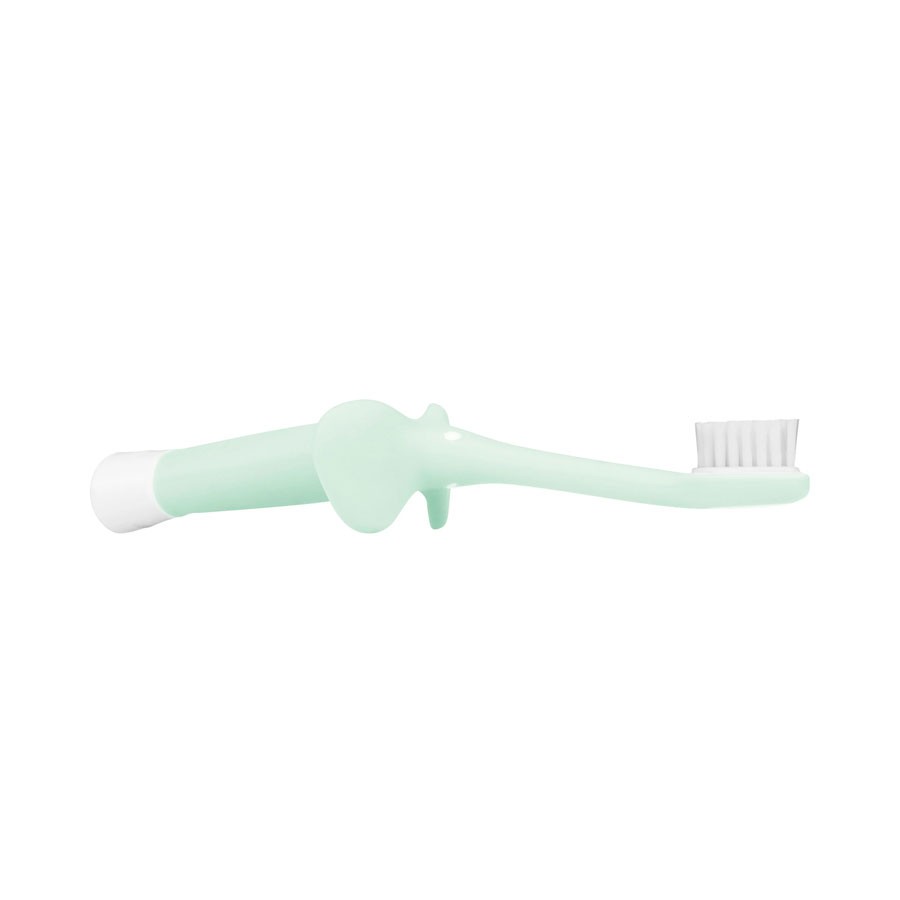 Dr. Brown's Infant-to-Toddler Training Toothbrush (1pc) - 3 Colours - Pupsik Singapore